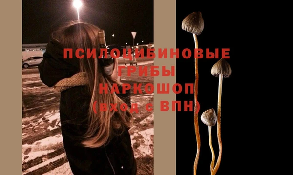 шишки Покров