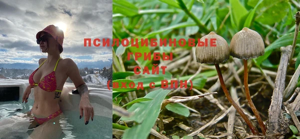 прущие грибы Киренск